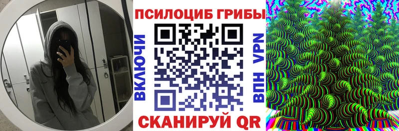 Псилоцибиновые грибы GOLDEN TEACHER Медынь